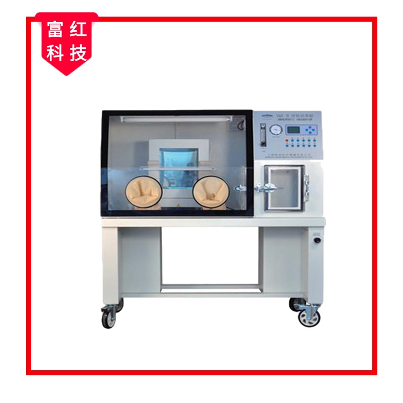 厭氧培養(yǎng)箱/厭氧手套箱(自動型)